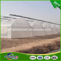 200micron PE plastic agricultural films and eva green-house uv film for sale